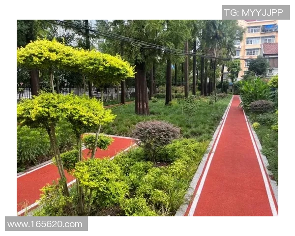 以运动场为中心，打造健康生活圈促进城市居民体育锻炼与社会互动发展