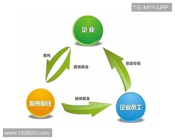 成都篮球队配合分析：战术执行与团队默契的深度对比探讨